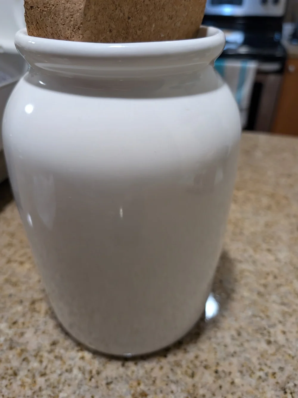 Pottery Barn Cookie Jar